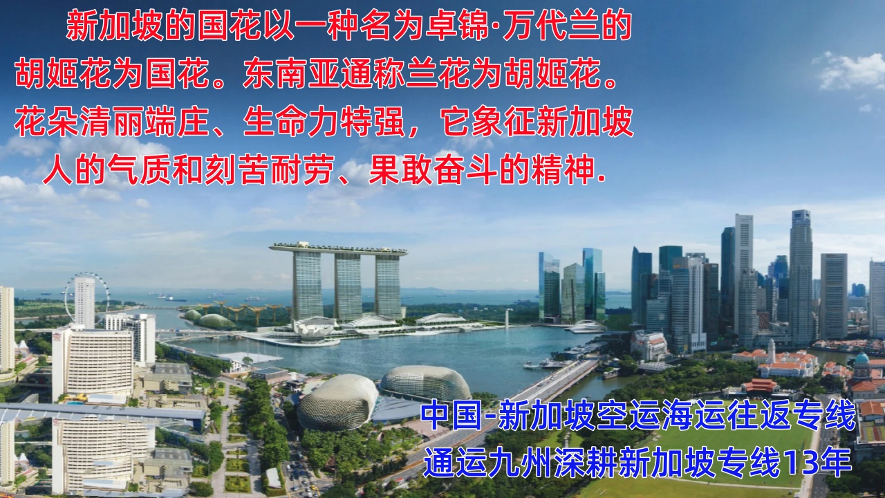 提供廣州到新加坡海運(yùn)服務(wù)，供應(yīng)廣州到新加坡空運(yùn)服務(wù)，報(bào)價(jià)表你看看
